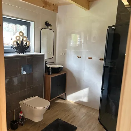 Dom W Borsku * Borsk