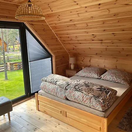 Dom W Borsku Holiday home Borsk