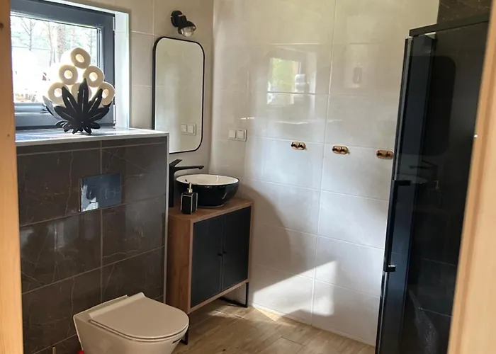 Dom W Borsku * Borsk